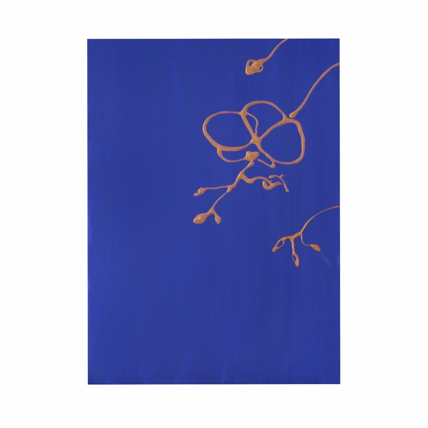 Tropicana IV – Orchid